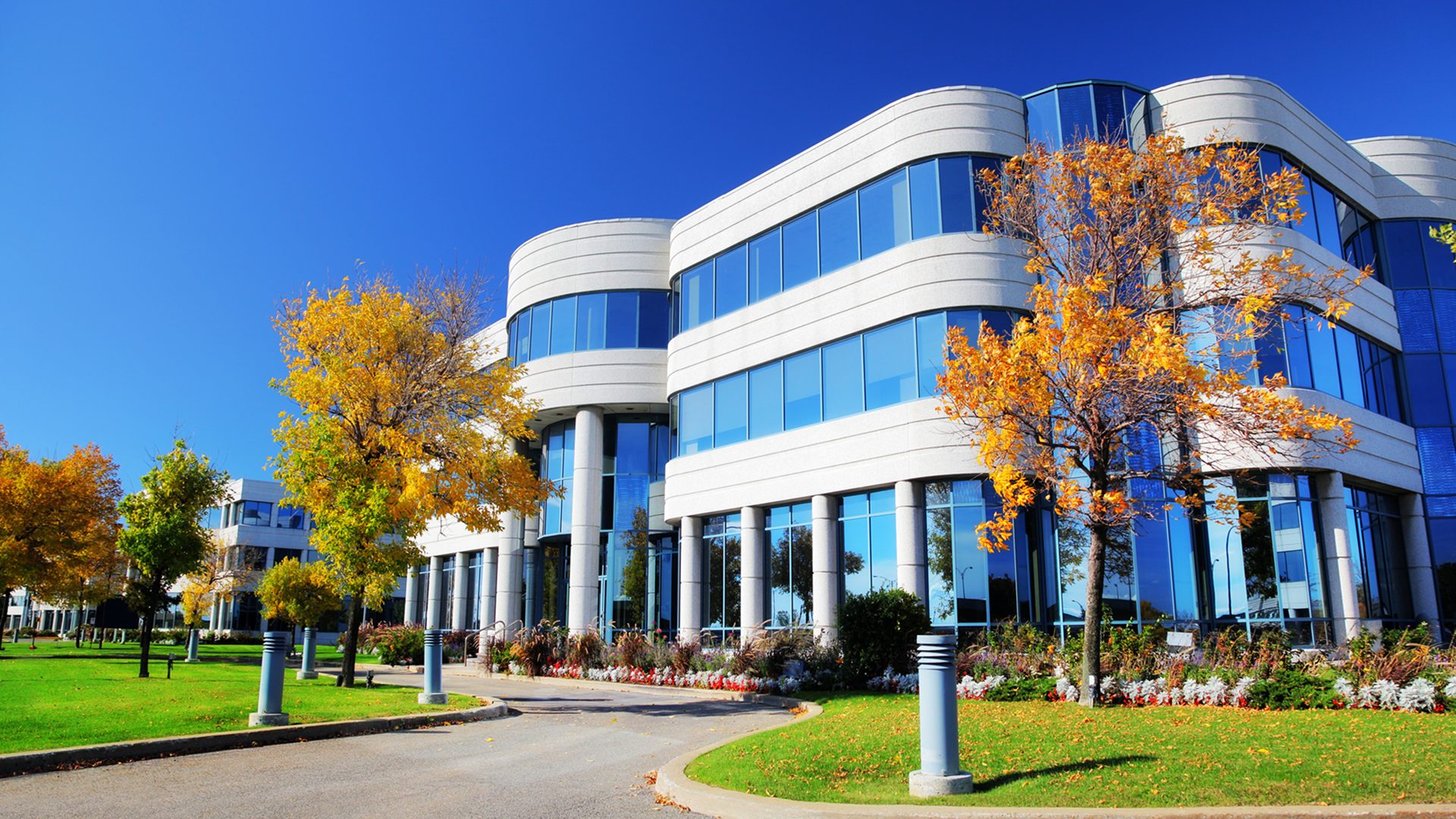Modern office building with autumn trees
